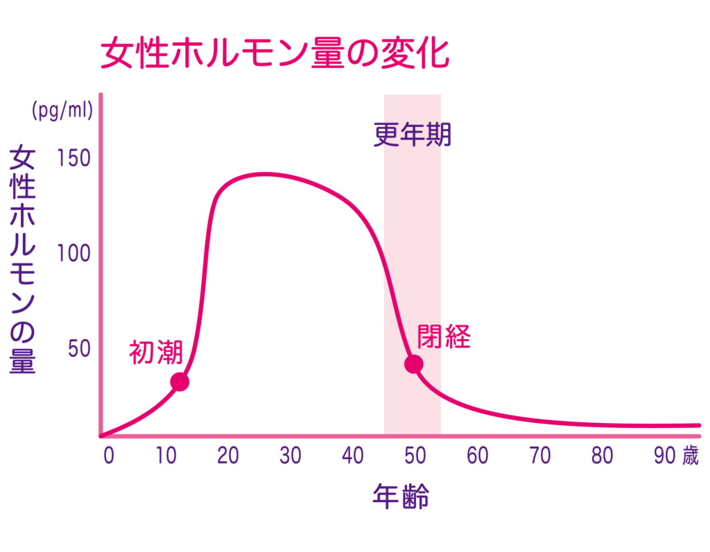 女性ホルモン量の変化